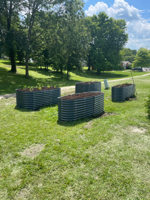 community garden 2